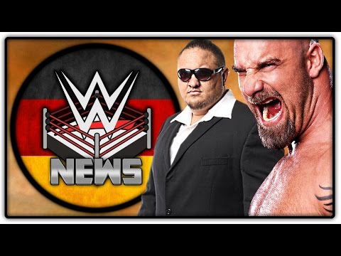 Paige vor Karriereende mit 24? Pläne für Goldberg & Samoa Joe! (Wrestling News Deutsch/German)