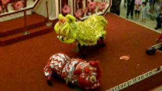 Drunken Lion Dance