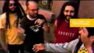 GONDWANA GIVE YOUR LOVE.