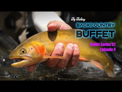 Backcountry Fly Fishing Buffet S2 Episode 4 - Cutties Crushing Big Dry Flies - Father &amp; Son Trip