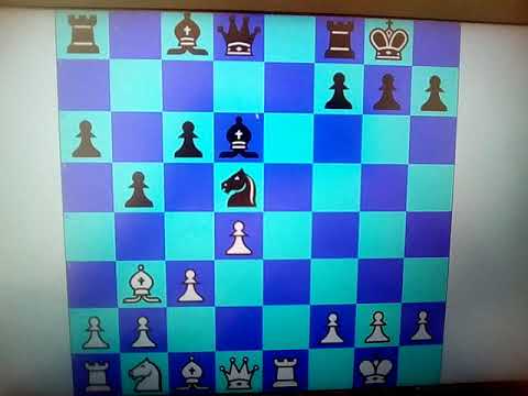 ΣΚΑΚΙ - ΠΑΓΙΔΑΡΑ