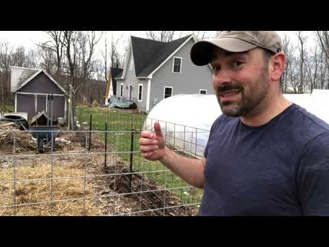 image-What kind of fence do I need for chicken Run?