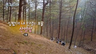 [174회_1부] 심봤다! 내 인생의 보물 '산양삼'