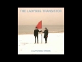 The Ladybug Transistor - Clutching Stems