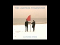 The Ladybug Transistor - Clutching Stems 