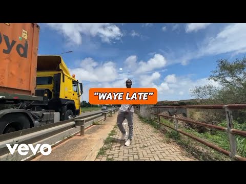 Bongos livity - Way3 late