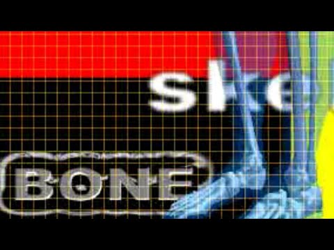 Dance Maniax 2ndMIX append J-PARADISE: Body featuring JD Braithwaite [I.C.B Club Vocal Mix] (Movie)