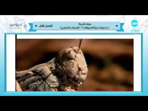 الخامس الابتدائي | الفصل الدراسي الأول 1438 | علوم | دورات الحياة (الاخصاب الخارجي) 1