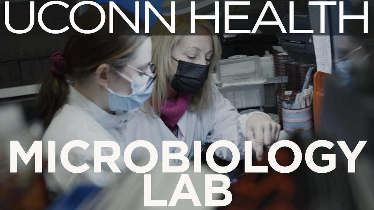 Microbiology Lab: Meeting the Challenge
