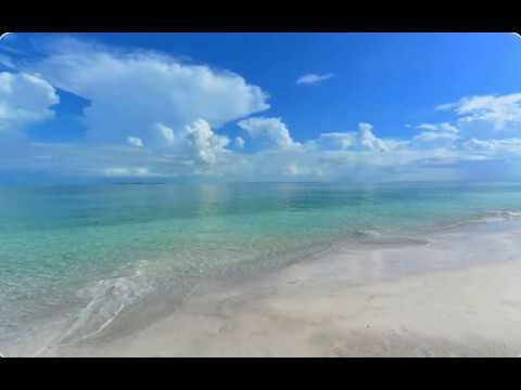 Palm Isle Bungalow | Anna Maria Island