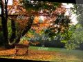 Will.I.am Good morning (with lyrics)