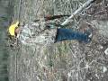 Canadian Loving His Russian SKS Rifle
