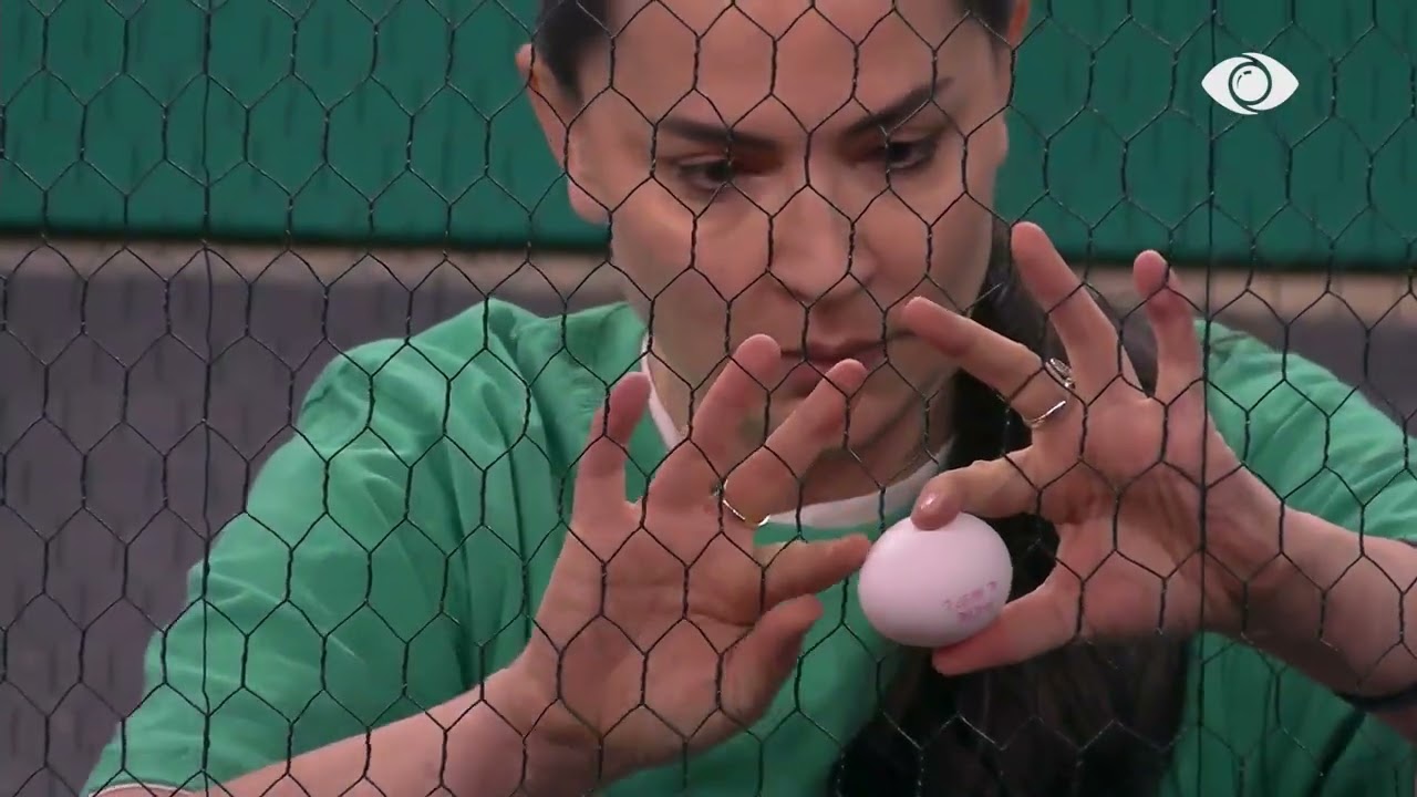 Fillon sfida për banorët/ Rozana,Tiri, dhe Danja nisin transportin e vezëve, banorët brohorasin