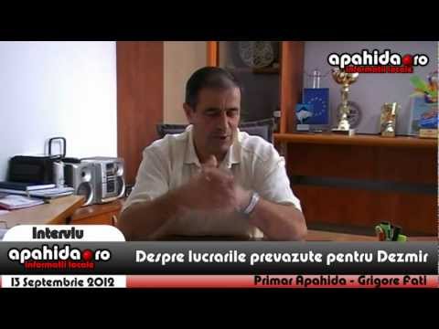 Interviu www apahida ro Grigore Fati Primar Apahida partea3  Dezmir avi