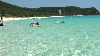 preview picture of video 'Beach Okinawa 沖縄古座間味ビーチ　HD　Zamami Sony HDR-CX520V'