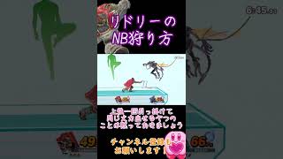 【スマブラSP】ガノンで対リドリーのNBを楽に狩る