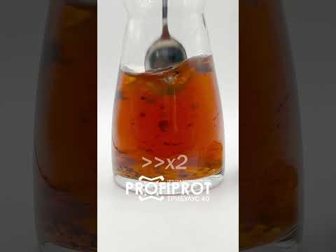 Экстракт Трибулуса 40% PROFIPROT 100 г - фото 1 - id-p1862936508