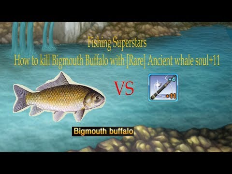 Fishing Superstars - How to kill Bigmouth Buffalo with [Rare] Ancient whale soul+11