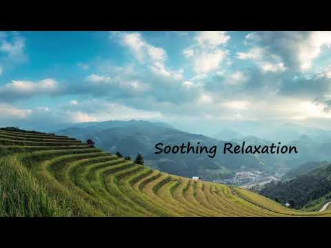 15 minutes beautiful relaxation music 🎶 || Soothing Relaxation