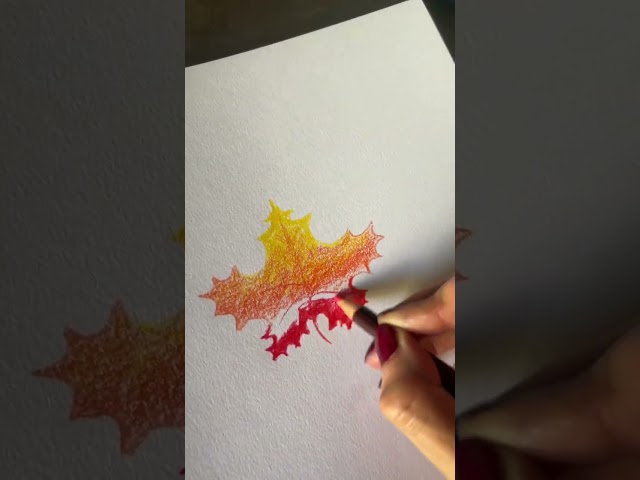 Vídeo relacionado con DERWENT Lápices Derwent de Carboncillo para Dibujar, Set de 4, Claro, Medio, Oscuro & Carboncillo Blanco Tintado, Calidad Profesional, 39000