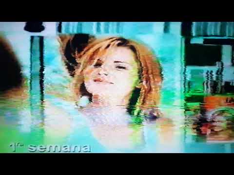 Tinturas Sedal Pro Color-Renovate con las Tinturas Sedal! (2004)