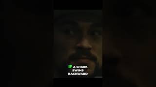 Unlock Your Destiny: Chase Your God-Given Dream Daily! #shorts