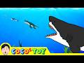 Big Fish Eat Small Fish Sea Animals For Kids CoCosToy