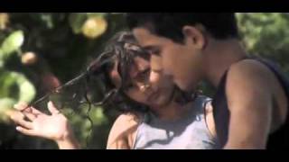 Cultura Profética - La Complicidad