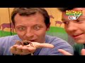 Zoboomafoo With The Kratt Brothers PUPPIES HD Full Episode