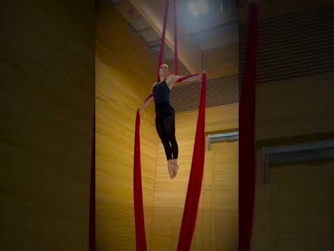 Claudia Ellert YouTube-Vdeominiatur 11
