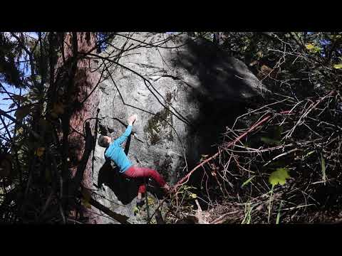 Enter the Dragon (V9)