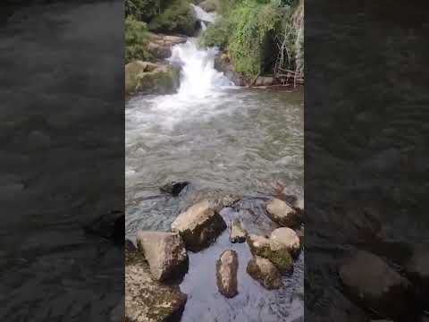 🔴 Bate e Volta - Gonçalves - MG.