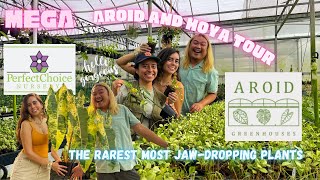 RARE AROID FARM TOUR with the Perfect Choice Nursery Girlies! (Feat. Paula and Melody)
