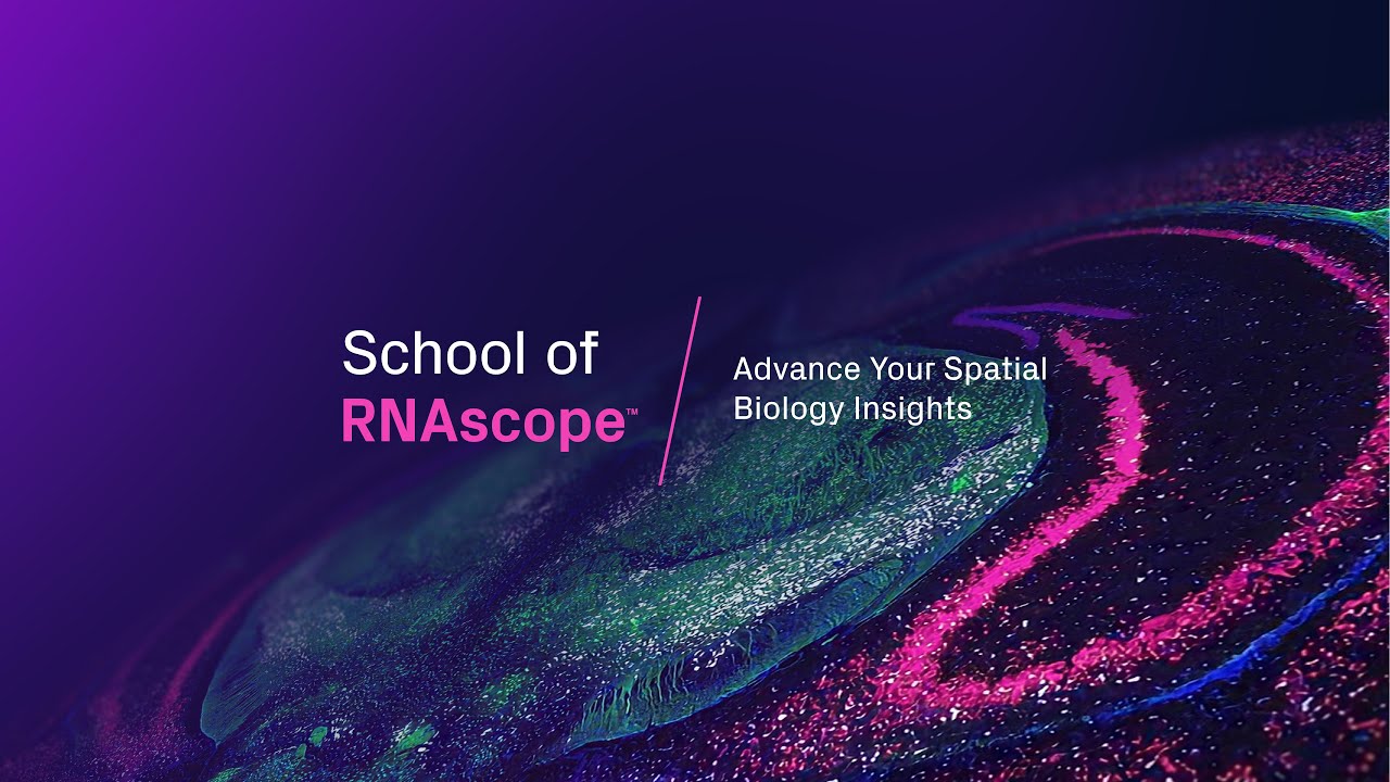 School of RNAscope 2024 Overview