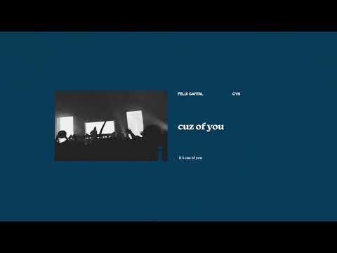 Felix Cartal - cuz of you (with Cyn) [visualizer with lyrics]