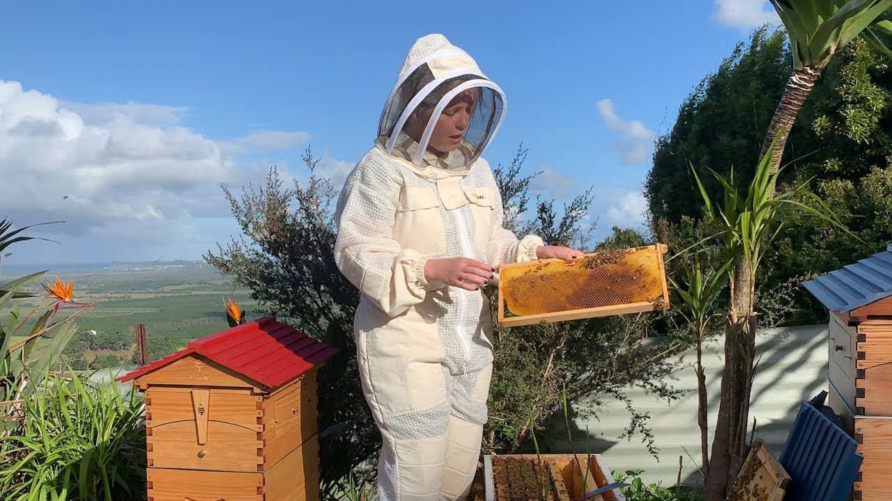TheBeekeeper.org SAMPLE VIDEO - Foundationless Beekeeping