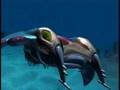 Beast Wars Depth Charge Appreciation