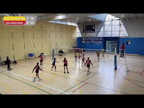 (19/01/202) Junior - CV Las Rozas vs Feel Alcobendas