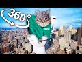 U II A IO UI A I O CAT X Mingle Game Song City In 360 Video VR 8K Squid Game