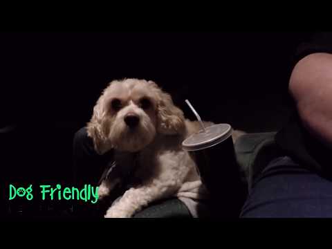 download lagu mp3 mp4 Perth Playhouse, download lagu Perth Playhouse gratis, unduh video klip Perth Playhouse