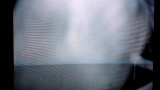 House Wrens 7/16/09 5-6 days old