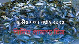 জাতীয় মৎস্য সপ্তাহ ২০২৫