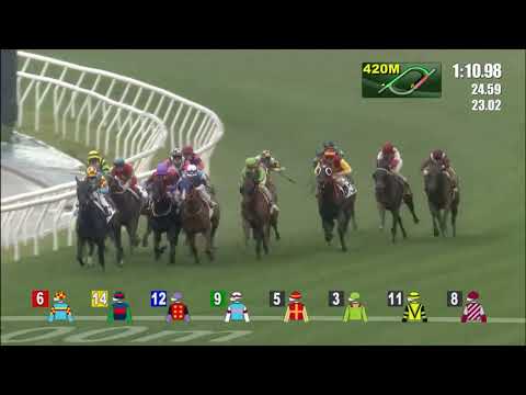 20/2/2022 (439) Leading Fortune - A Badel