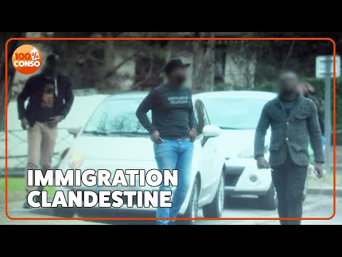 Illegal immigration: the massive crackdown on smugglers