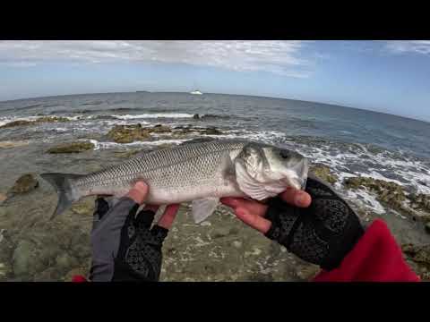 A Day of Winter LRF Fishing in Malta
