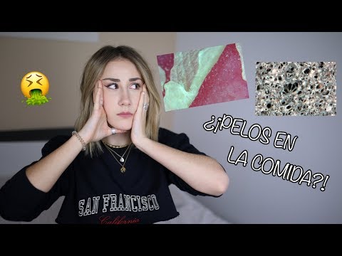 WHAT YOU SEE THROUGH THE MICROSCOPE | ItsJudith