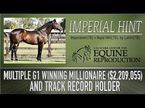 Imperial Hint - LACER Commercial 2020