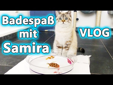BADESPAß MIT SAMIRA! Katze spielt mit ROBO FISH! Hat Samira Angst vor Wasser? Spiel mit mir