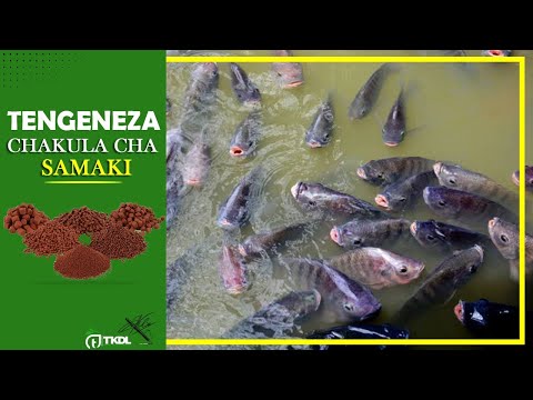 JINSI YA KUTENGENEZA CHAKULA BORA CHA SAMAKI