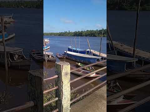 Moju do Pará cidade de riqueza 🤑